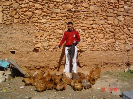 c moi et les polies de pitcho